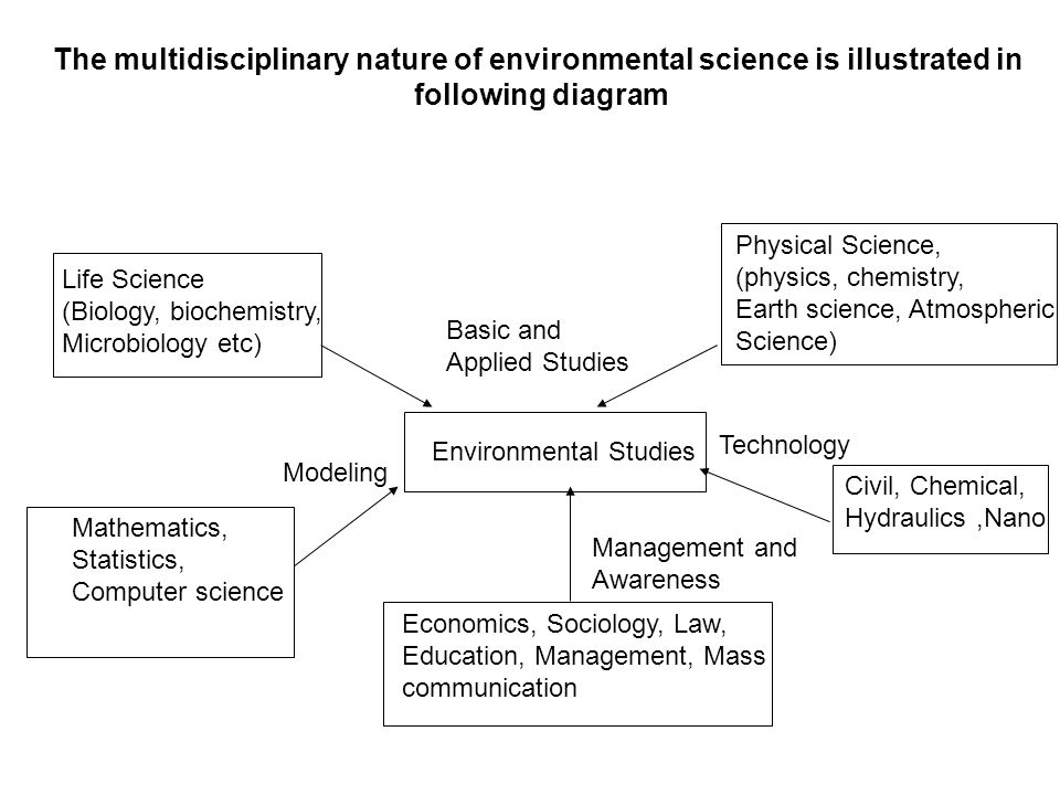 Sociological theory